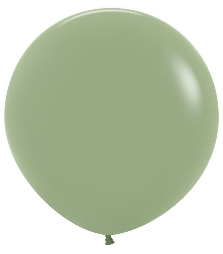 FASHION EUCALYPTO R36 X 2